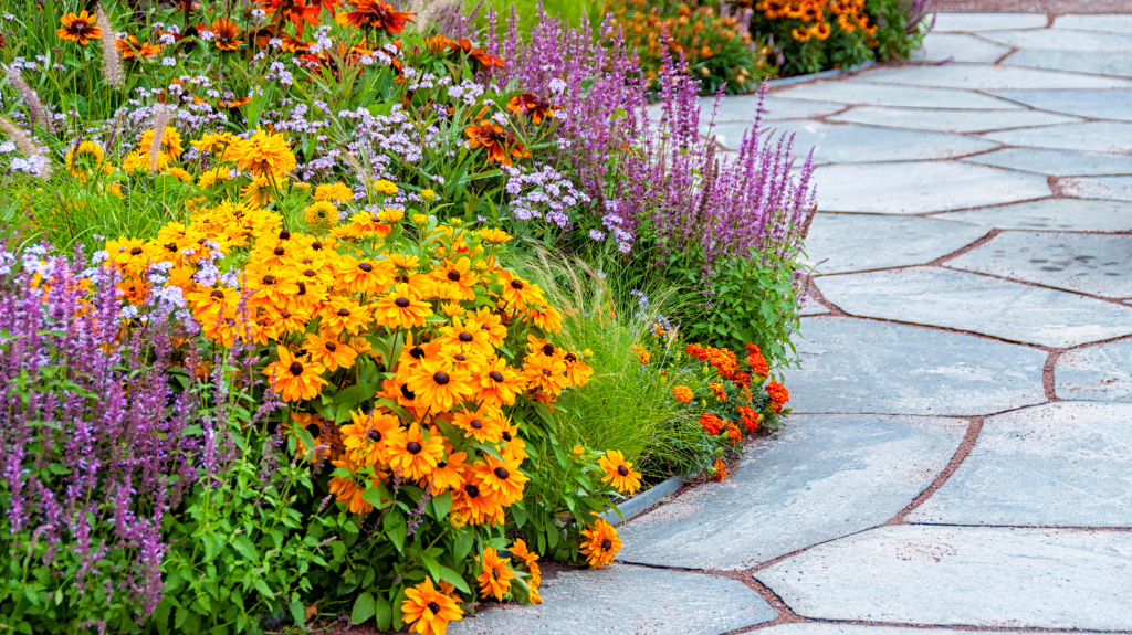 Mastering Perennials: Tips for a Thriving, Returning Garden | Cressy & Everett